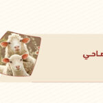 الأضاحي