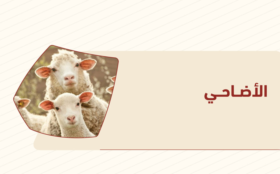 الاضاحي