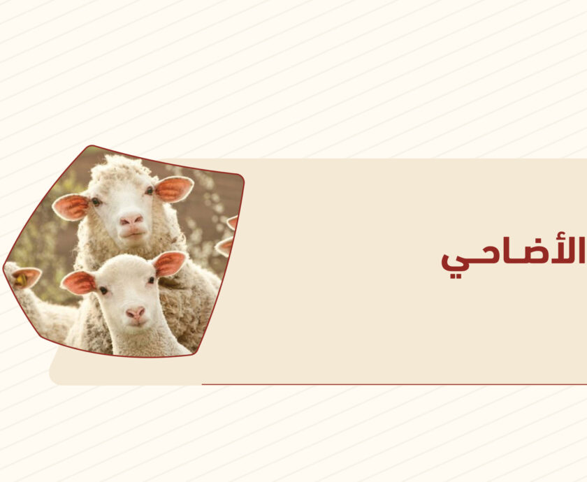 الاضاحي